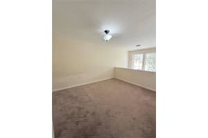 16306 PARKSTONE PALMS COURT, TAMPA, FL 33647 - MLS#MFRTB8451881