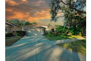 10118 Cannon Dr, RIVERVIEW 10118 Cannon Dr, RIVERVIEW