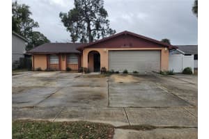 7008 Fountain Ave, TAMPA 7008 Fountain Ave, TAMPA