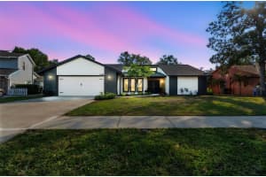 1228 Rainbrook Cir, VALRICO 1228 Rainbrook Cir, VALRICO