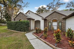 11205 KERRY HILLS COURT, RIVERVIEW, FL 33569 - MLS#MFRTB8451928