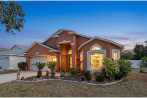 915 CRISTELLE JEAN DRIVE, RUSKIN, FL 33570 - MLS#MFRTB8451929