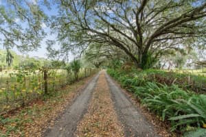 1814 WISE ROAD, ZEPHYRHILLS, FL 33540 - MLS#MFRTB8451967