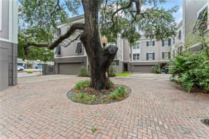 3011 MASON STREET, TAMPA, FL 33629 - MLS#MFRTB8451981