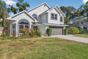 4207 TACON STREET, TAMPA, FL 33629 - MLS#MFRTB8451988