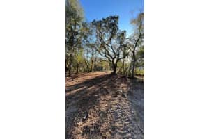 HAGAR DRIVE, NEW PORT RICHEY, FL 34652 - MLS#MFRTB8451996