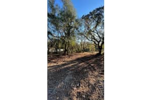 HAGAR DRIVE, NEW PORT RICHEY, FL 34652 - MLS#MFRTB8451996