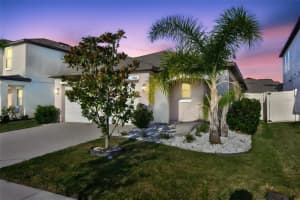 31867 Barrel Wave Way, WESLEY CHAPEL