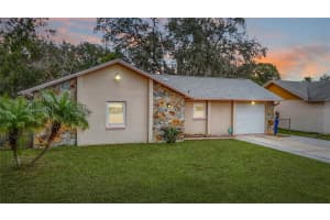 7253 BELVEDERE TERRACE, NEW PORT RICHEY, FL 34655 - MLS#MFRTB8451999
