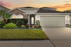 18446 Hunters Meadow Walk, LAND O LAKES
