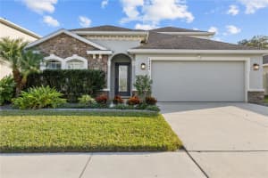 18446 HUNTERS MEADOW WALK, LAND O LAKES, FL 34638 - MLS#MFRTB8452024