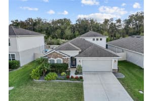 18446 HUNTERS MEADOW WALK, LAND O LAKES, FL 34638 - MLS#MFRTB8452024
