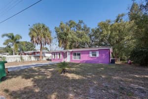 10003 24TH STREET, TAMPA, FL 33612 - MLS#MFRTB8452036