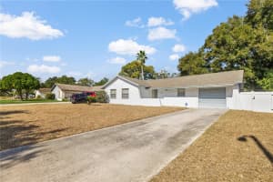 8530 RENALD BOULEVARD, TEMPLE TERRACE, FL 33637 - MLS#MFRTB8452132