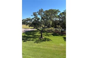 36750 US HIGHWAY 19 N #15-308, PALM HARBOR, FL 34683 - MLS#MFRTB8452198