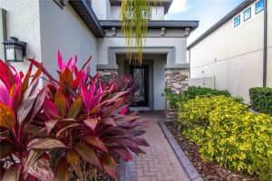 1977 NATURE VIEW DRIVE, LUTZ, FL 33558 - MLS#MFRTB8452212