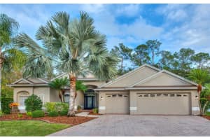 17388 Emerald Chase Dr, TAMPA