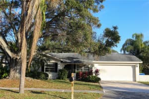 1810 COPPER KETTLE LANE, DUNEDIN, FL 34698 - MLS#MFRTB8452235