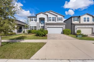 33251 Sycamore Leaf Dr, WESLEY CHAPEL