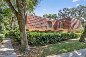 693 1ST COURT, PALM HARBOR, FL 34684 - MLS#MFRTB8452307