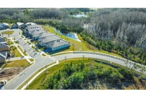17216 MANGO SHAY COURT, LAND O LAKES, FL 34638 - MLS#MFRTB8452340