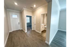 17216 MANGO SHAY COURT, LAND O LAKES, FL 34638 - MLS#MFRTB8452340