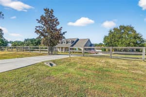 18051 HANCOCK BLUFF ROAD, DADE CITY, FL 33523 - MLS#MFRTB8452355