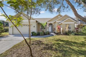 172 LAKE SHORE DRIVE, PALM HARBOR, FL 34684 - MLS#MFRTB8452362