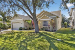172 LAKE SHORE DRIVE, PALM HARBOR, FL 34684 - MLS#MFRTB8452362