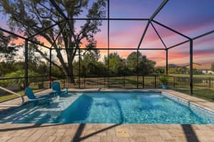 13331 Waterleaf Garden Cir, RIVERVIEW