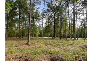 15570 CLIFF SWALLOW ROAD, WEEKI WACHEE, FL 34614 - MLS#MFRTB8452443