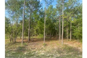 15570 CLIFF SWALLOW ROAD, WEEKI WACHEE, FL 34614 - MLS#MFRTB8452443