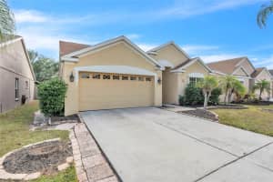 12410 EARLY RUN LANE, RIVERVIEW, FL 33578 - MLS#MFRTB8452498