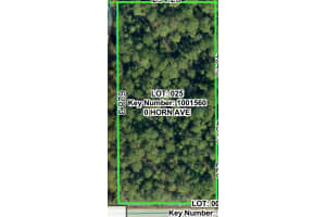 00 HORN AVENUE, BROOKSVILLE, FL 34613 - MLS#MFRTB8452533
