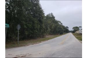 00 HORN AVENUE, BROOKSVILLE, FL 34613 - MLS#MFRTB8452533