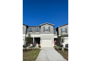 1498 CASSIUS STREET, LUTZ, FL 33549 - MLS#MFRTB8452621