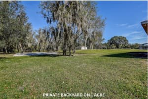 3545 HAYSTACK ROAD, WESLEY CHAPEL, FL 33543 - MLS#MFRTB8452640
