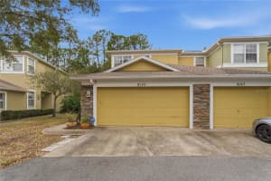 8145 Stone Leaf Ln, TAMPA