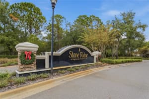 8145 STONE LEAF LANE, TAMPA, FL 33647 - MLS#MFRTB8452673