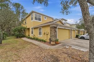 8145 STONE LEAF LANE, TAMPA, FL 33647 - MLS#MFRTB8452673