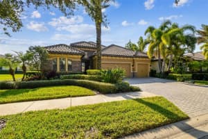 1446 VIA VERDI DRIVE, PALM HARBOR, FL 34684 - MLS#MFRTB8452705