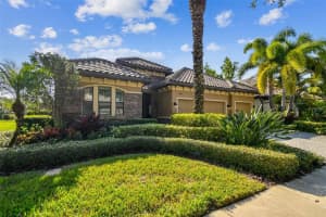 1446 VIA VERDI DRIVE, PALM HARBOR, FL 34684 - MLS#MFRTB8452705