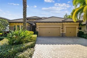 1446 VIA VERDI DRIVE, PALM HARBOR, FL 34684 - MLS#MFRTB8452705