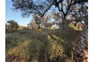 13934 LITEWOOD DRIVE, HUDSON, FL 34669 - MLS#MFRTB8452721