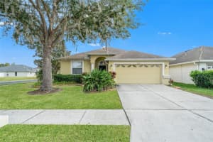 3838 Washburn Pl, WESLEY CHAPEL 3838 Washburn Pl, WESLEY CHAPEL