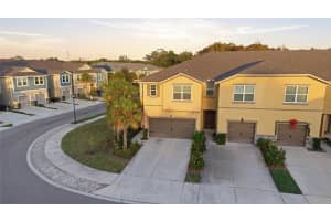 6041 GRAND SONATA AVENUE, LUTZ, FL 33558 - MLS#MFRTB8452771