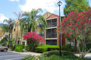 11901 4th St N #8105, ST PETERSBURG 11901 4th St N #8105, ST PETERSBURG