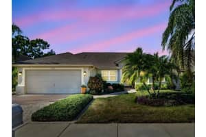 1929 Wood Haven St, TARPON SPRINGS 1929 Wood Haven St, TARPON SPRINGS