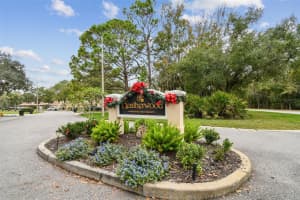 215 CLAYS TRAIL, OLDSMAR, FL 34677 - MLS#MFRTB8452814