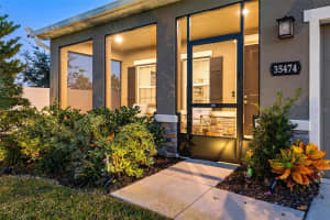 35474 QUARTZ LAKE DRIVE, ZEPHYRHILLS, FL 33541 - MLS#MFRTB8452815